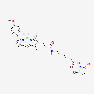 molecular formula C31H35BF2N4O6 B1663739 Bodipy tmr-X CAS No. 217190-15-3