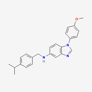 molecular formula C₂₄H₂₅N₃O B1663846 1-(4-methoxyphenyl)-N-[4-(propan-2-yl)benzyl]-1H-benzimidazol-5-amine CAS No. 489416-12-8