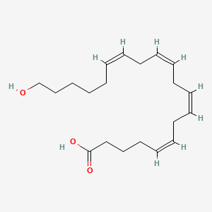 molecular formula C20H32O3 B1663992 20-Hete CAS No. 79551-86-3