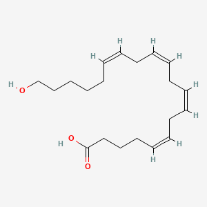 molecular formula C20H32O3 B1663992 20-Hydroxyeicosatetraenoic acid CAS No. 79551-86-3