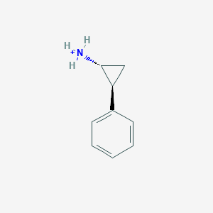 molecular formula C9H12ClN B1664100 Tranylcypromine hydrochloride CAS No. 1986-47-6