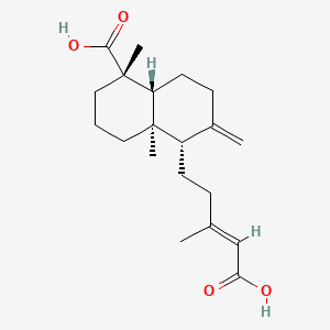 molecular formula C20H30O4 B1664430 Agathic acid CAS No. 640-28-8