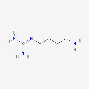 molecular formula C5H14N4 B1664431 Agmatine CAS No. 306-60-5
