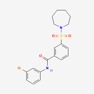 molecular formula C19H21BrN2O3S B1664481 3-(azepan-1-ylsulfonyl)-N-(3-bromophenyl)benzamide CAS No. 420831-40-9
