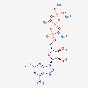 B1664558 2-Methylthio-ATP CAS No. 100020-57-3