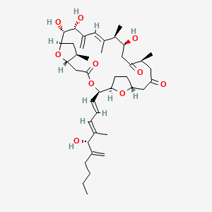molecular formula C41H62O10 B1664936 amphidinolide C CAS No. 112945-21-8