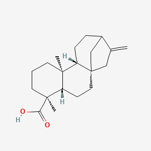 B1665172 Isocunabic acid CAS No. 20316-84-1