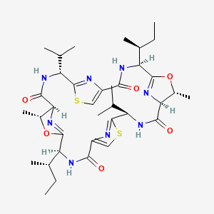 molecular formula C36H52N8O6S2 B1665190 Ascidiacyclamide CAS No. 86701-12-4