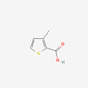 molecular formula C6H6O2S B1665384 3-Methylthiophene-2-carboxylic acid CAS No. 23806-24-8