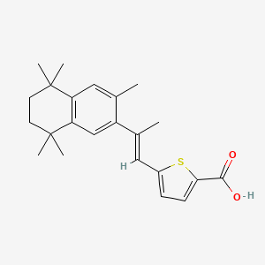 molecular formula C23H28O2S B1665641 (E)-5-(2-(5,6,7,8-Tetrahydro-3,5,5,8,8-pentamethyl-2-naphthyl)propen-1-yl)-2-thiophenecarboxylic acid CAS No. 156691-86-0