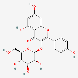 molecular formula C21H20O11 B1665802 Astragalin CAS No. 480-10-4