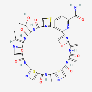 B1666367 (17Z)-17-Ethylidene-14-(1-hydroxyethyl)-31-methyl-38,41-dimethylidene-12,15,22,29,36,39-hexaoxo-43,48-dioxa-9,46,47-trithia-3,13,16,19,23,26,30,33,37,40,45,49-dodecazaheptacyclo[40.2.1.18,11.118,21.125,28.132,35.02,7]nonatetraconta-1(44),2(7),3,5,8(49),10,18,20,25,27,32,34,42(45)-tridecaene-4-carboxamide CAS No. 144376-84-1
