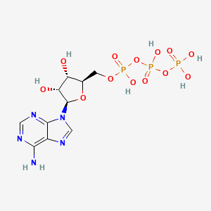 molecular formula C10H16N5O13P3 B1666615 Adenosine-5'-triphosphate CAS No. 56-65-5