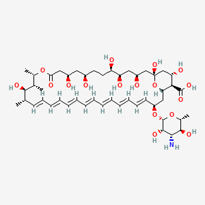 molecular formula C47H73NO17 B1667258 Amphotericin b CAS No. 1397-89-3