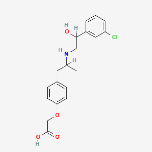 B1667803 (4-(2-((2-(3-Chlorophenyl)-2-hydroxyethyl)amino)propyl)phenoxy)acetic acid CAS No. 114333-71-0