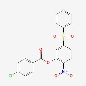 molecular formula C19H12ClNO6S B1667961 2-Nitro-5-(phenylsulfonyl)phenyl 4-chlorobenzoate CAS No. 219793-45-0