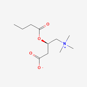 molecular formula C11H21NO4 B1668139 Butyryl-L-carnitine CAS No. 25576-40-3