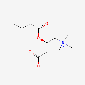 molecular formula C11H21NO4 B1668139 Butyrylcarnitine CAS No. 25576-40-3