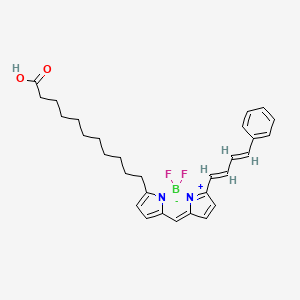 B1668174 11-[2,2-Difluoro-12-[(1E,3E)-4-phenylbuta-1,3-dienyl]-3-aza-1-azonia-2-boranuidatricyclo[7.3.0.03,7]dodeca-1(12),4,6,8,10-pentaen-4-yl]undecanoic acid CAS No. 217075-36-0