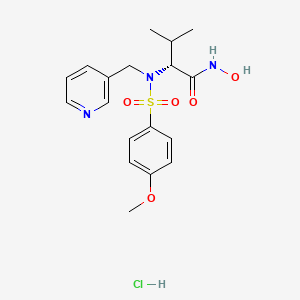 molecular formula C18H24ClN3O5S B1668550 N-Hydroxy-2(R)-[[(4-methoxyphenyl)sulfonyl](3-picolyl)amino]-3-methylbutanamide hydrochloride CAS No. 161314-70-1