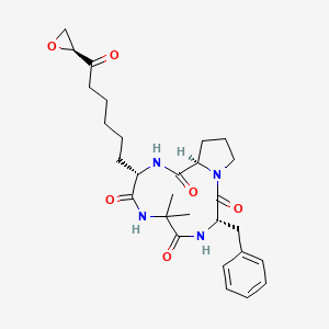 molecular formula C28H38N4O6 B1668628 Chlamydocin CAS No. 53342-16-8