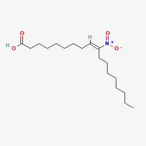 molecular formula C18H33NO4 B1669368 Cxa-10 CAS No. 875685-46-4