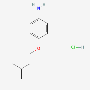 4-(3-Methylbutoxy)aniline hydrochloride