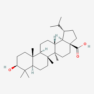 molecular formula C30H50O3 B1670585 Dihydrobetulinic acid CAS No. 25488-53-3