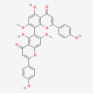 B1670825 5,5'-dihydroxy-2,2'-bis(4-hydroxyphenyl)-7,7'-dimethoxy-4H,4'H-[6,8'-bichromene]-4,4'-dione CAS No. 41679-06-5
