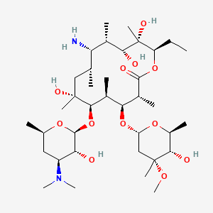 B1671069 Erythromycylamine CAS No. 26116-56-3