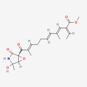 B1671538 Epolactaene CAS No. 167782-17-4