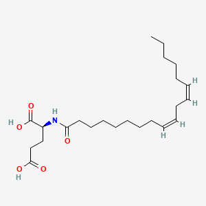 molecular formula C23H39NO5 B1671661 Glutamic acid linoleamide CAS No. 2601-92-5
