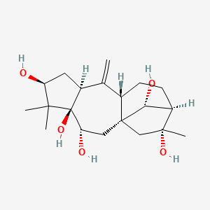 molecular formula C20H32O5 B1672140 Grayanotoxin II CAS No. 4678-44-8