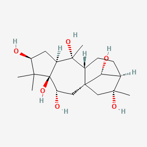 B1672141 grayanotoxin III CAS No. 4678-45-9