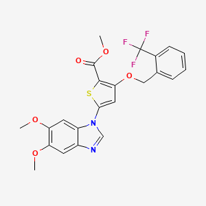 molecular formula C23H19F3N2O5S B1672346 methyl 5-(5,6-dimethoxy-1H-benzimidazol-1-yl)-3-[(2-trifluoromethylbenzyl)-oxy]thiophene-2-carboxylate 