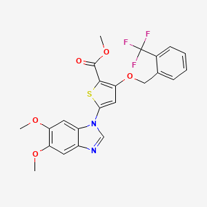 molecular formula C23H19F3N2O5S B1672346 methyl 5-(5,6-dimethoxy-1H-benzimidazol-1-yl)-3-[(2-trifluoromethylbenzyl)-oxy]thiophene-2-carboxylate CAS No. 660868-83-7