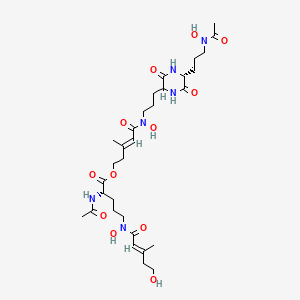 molecular formula C31H50N6O12 B1672629 Isotriornicine CAS No. 81559-22-0