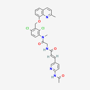B1672740 (E)-3-(6-acetamidopyridin-3-yl)-N-[2-[2,4-dichloro-N-methyl-3-[(2-methylquinolin-8-yl)oxymethyl]anilino]-2-oxoethyl]prop-2-enamide CAS No. 167838-64-4