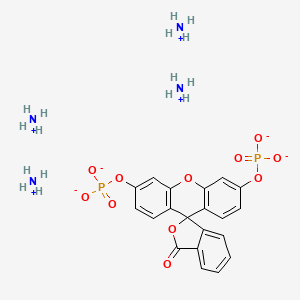 molecular formula C20H26N4O11P2 B1672903 Fluorescein (tetraammonium) CAS No. 217305-49-2