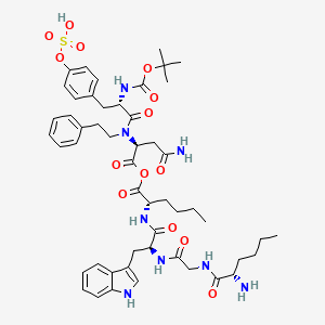 B1672973 [(2S)-4-Amino-2-[[(2S)-2-[(2-methylpropan-2-yl)oxycarbonylamino]-3-(4-sulfooxyphenyl)propanoyl]-(2-phenylethyl)amino]-4-oxobutanoyl] (2S)-2-[[(2S)-2-[[2-[[(2S)-2-aminohexanoyl]amino]acetyl]amino]-3-(1H-indol-3-yl)propanoyl]amino]hexanoate CAS No. 117829-60-4