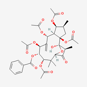 molecular formula C37H46O15 B1673284 [(1R,2R,4S,5S,6R,7R,9S,10S,11S,13R,15S)-2,5,7,9,11-Pentaacetyloxy-1-hydroxy-4,12,12,15-tetramethyl-8-methylidene-14-oxo-16-oxatricyclo[11.2.1.02,6]hexadecan-10-yl] benzoate CAS No. 57701-86-7