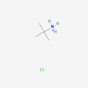 molecular formula C4H12ClN B167375 2-Amino-2-methylpropane hydrochloride CAS No. 10017-37-5