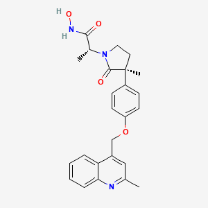 molecular formula C25H27N3O4 B1674431 IK-862 CAS No. 478911-60-3