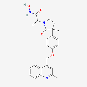 molecular formula C25H27N3O4 B1674431 (2R)-N-Hydroxy-2-[(3S)-3-methyl-3-{4-[(2-methylquinolin-4-YL)methoxy]phenyl}-2-oxopyrrolidin-1-YL]propanamide CAS No. 478911-60-3