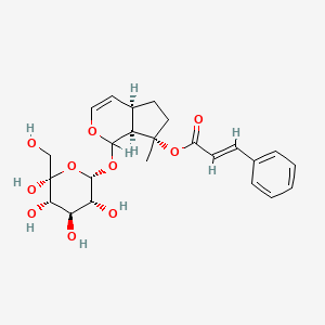 molecular formula C24H30O10 B1674537 [(4aR,7S,7aS)-7-methyl-1-[(2S,3R,4R,5S,6R)-3,4,5,6-tetrahydroxy-6-(hydroxymethyl)oxan-2-yl]oxy-4a,5,6,7a-tetrahydro-1H-cyclopenta[c]pyran-7-yl] (E)-3-phenylprop-2-enoate CAS No. 70206-27-8