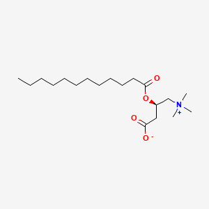 molecular formula C19H37NO4 B1674569 Lauroylcarnitine CAS No. 25518-54-1