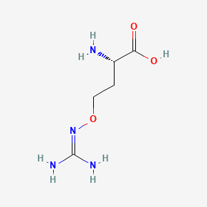 molecular formula C5H12N4O3 B1674654 Canavanine CAS No. 543-38-4