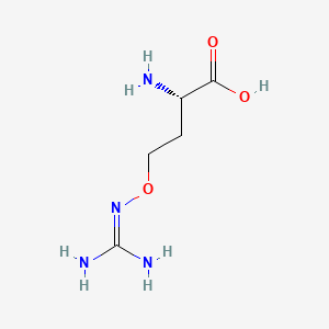molecular formula C5H12N4O3 B1674654 L-canavanine CAS No. 543-38-4