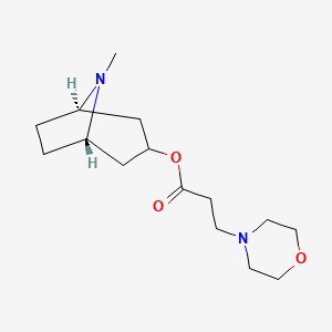 molecular formula C15H26N2O3 B1674907 (5-Nitroisoquinolin-1-yl)methylene-N-hydroxy-N'-aminoguanidine CAS No. 74143-01-4