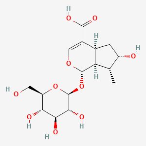 B1675029 Loganic acid CAS No. 22255-40-9